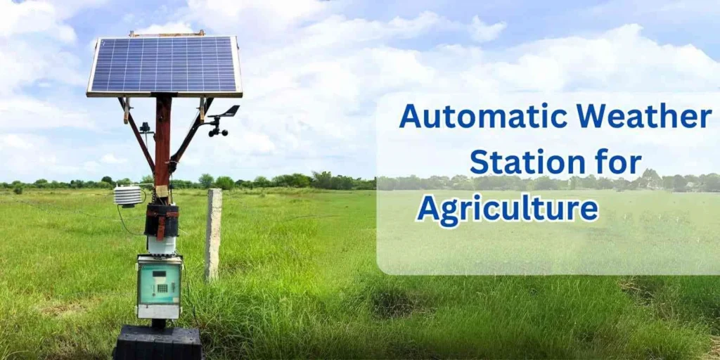 Automated Weather Station: Enhancing Meteorological Data Collection and Analysis